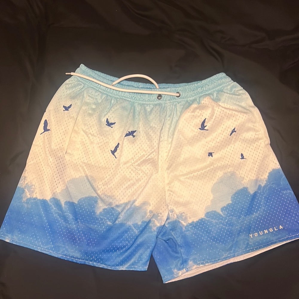Young La Shorts. only worn a few times